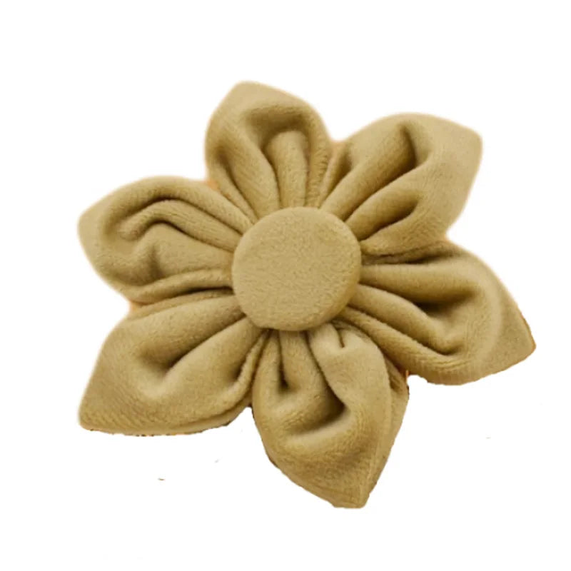 Nude Velvet Collar & Leash