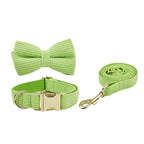 Apple Fruit Green Corduroy Collar & Leash