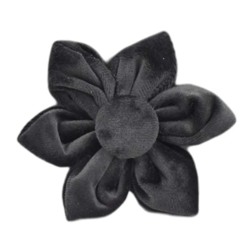 Black Velvet Collar & Leash