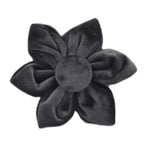 Black Velvet Collar & Leash