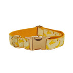 Banana Pop Collar & Leash