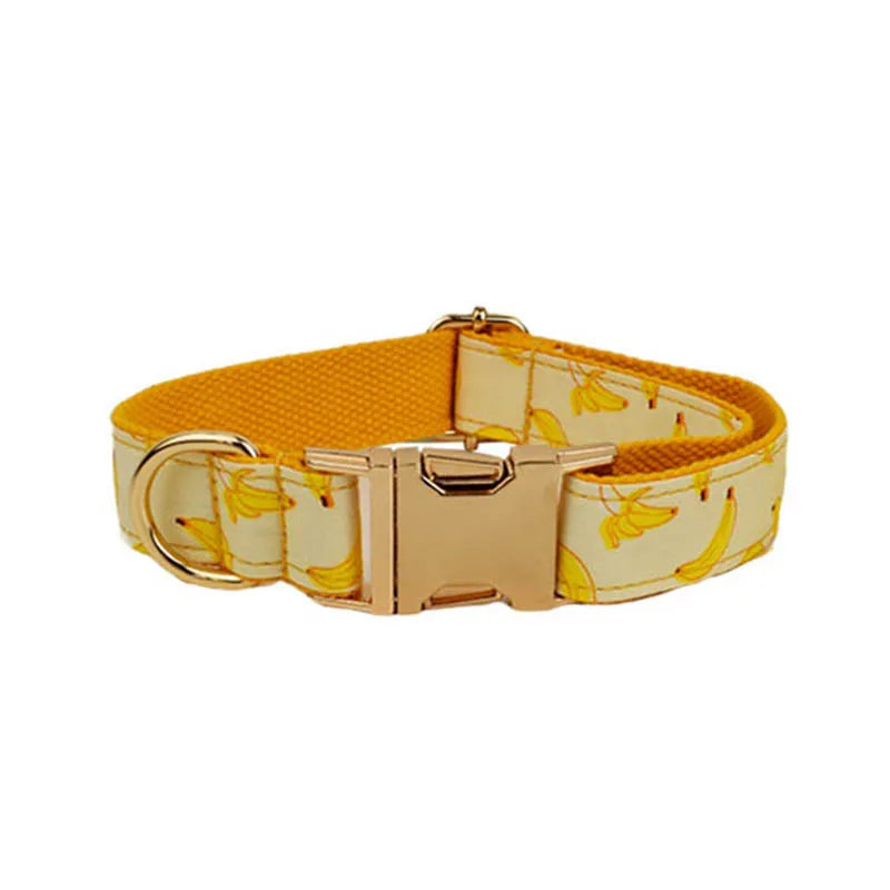 Banana Pop Collar & Leash