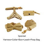 Nude Velvet Walk Set