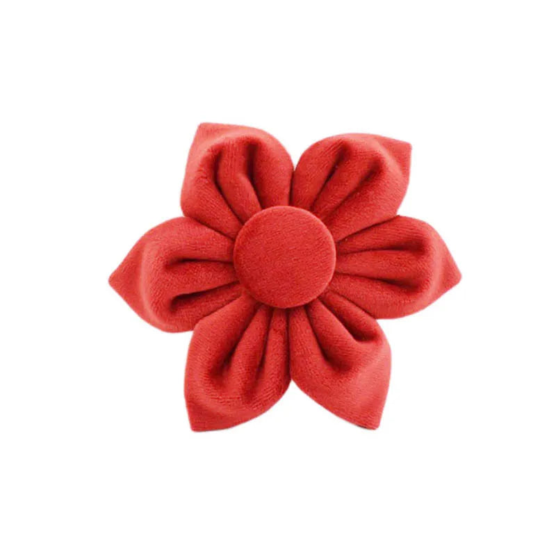 Ruby Red Velvet Walk Set