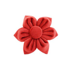 Ruby Red Velvet Walk Set