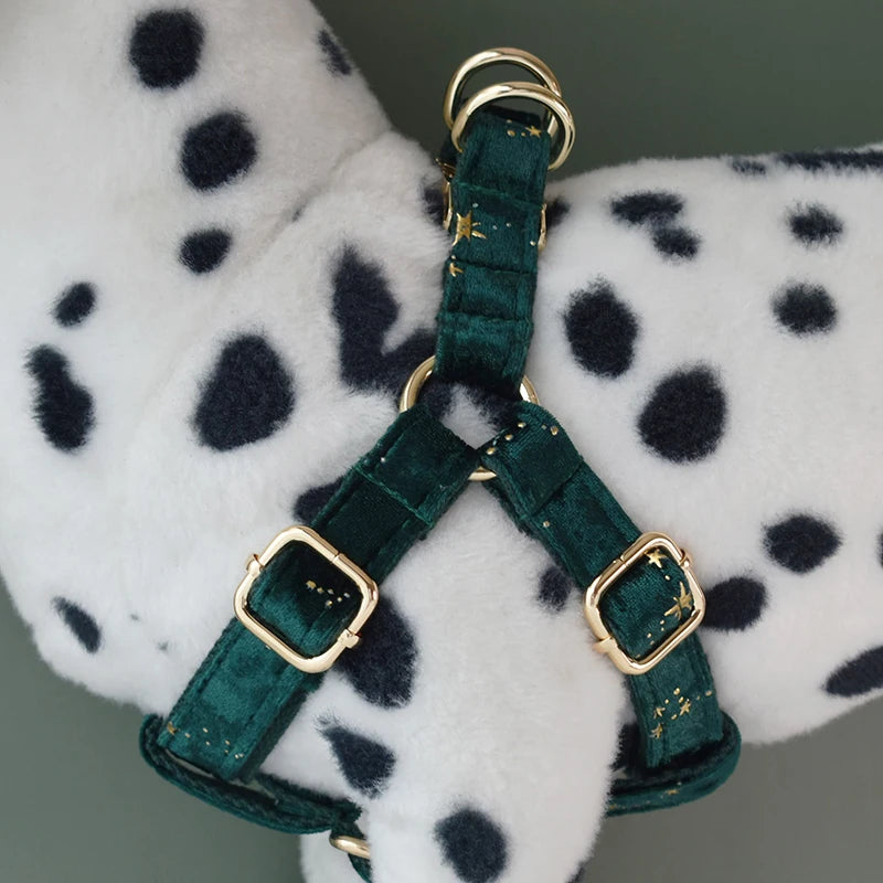 Emerald Gold Harness