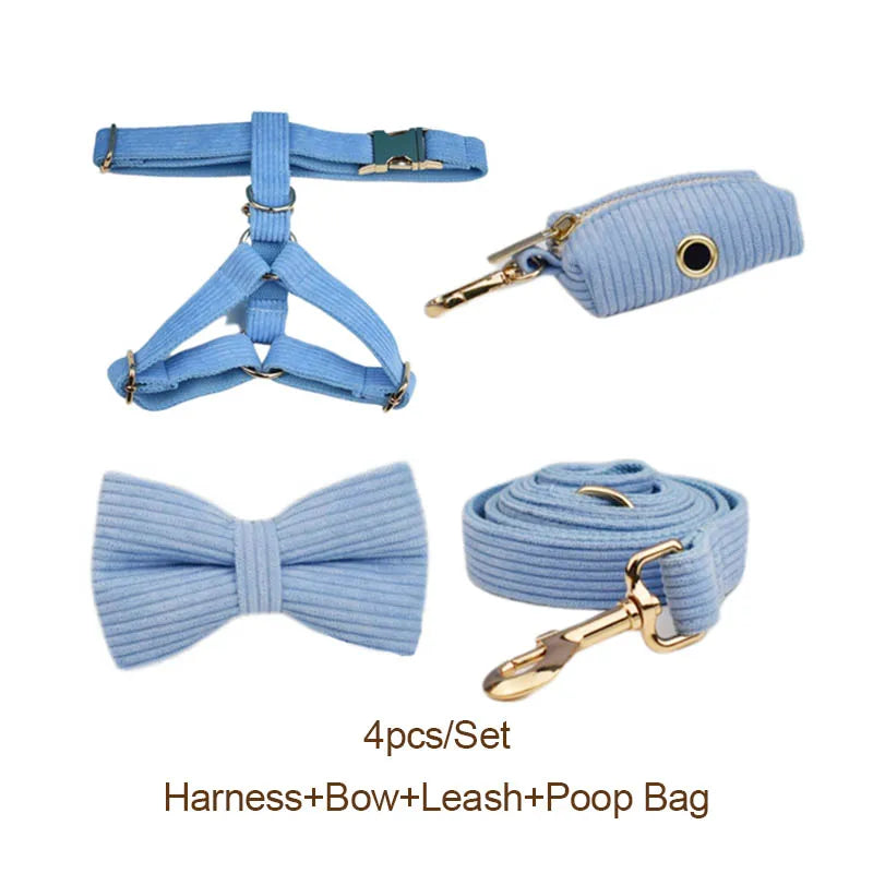 Blue Corduroy Walk Set