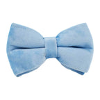 Teal Velvet Collar And Leash