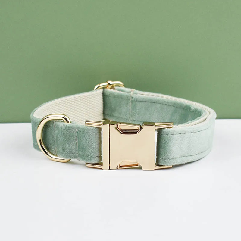 Mint Green Velvet Collar & Leash