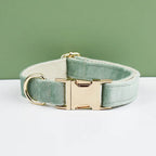 Mint Green Velvet Collar & Leash