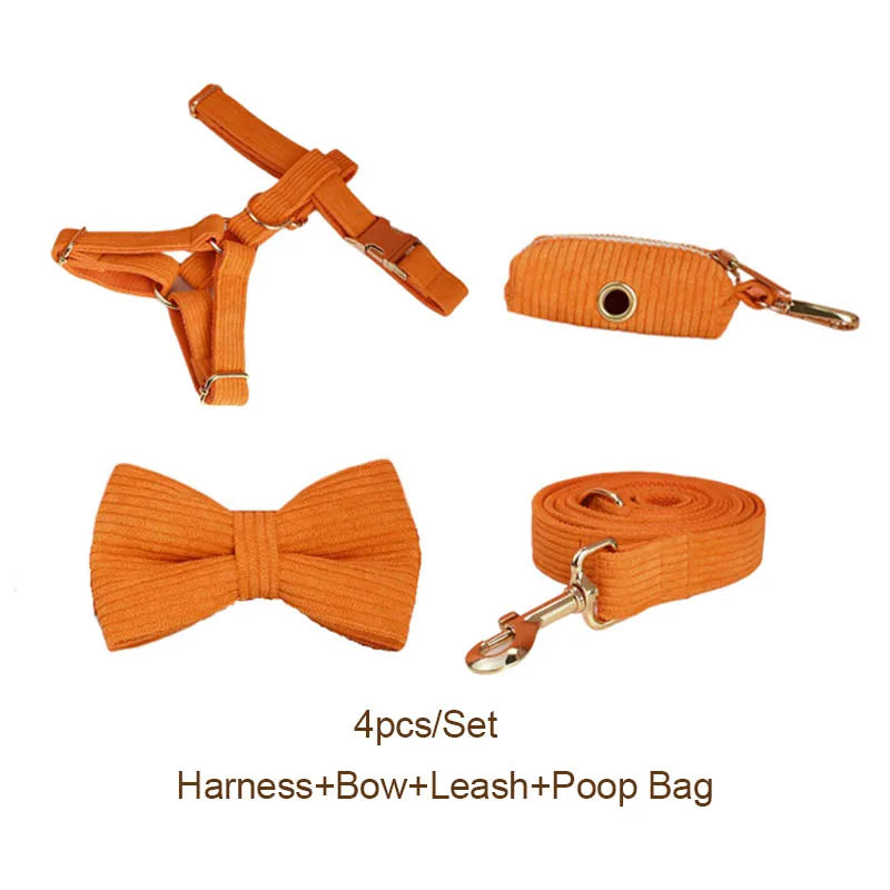 Orange Corduroy Walk Set