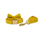 Mustard Velvet Collar & Leash