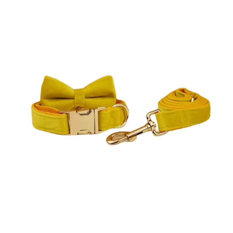 Mustard Velvet Collar & Leash