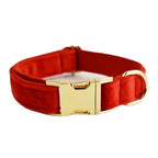 Ruby Red Velvet Collar & Leash