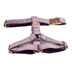 Deep Purple Velvet Harness