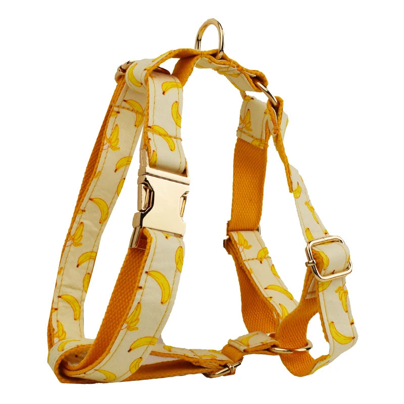 Banana Pop Harness & Leash