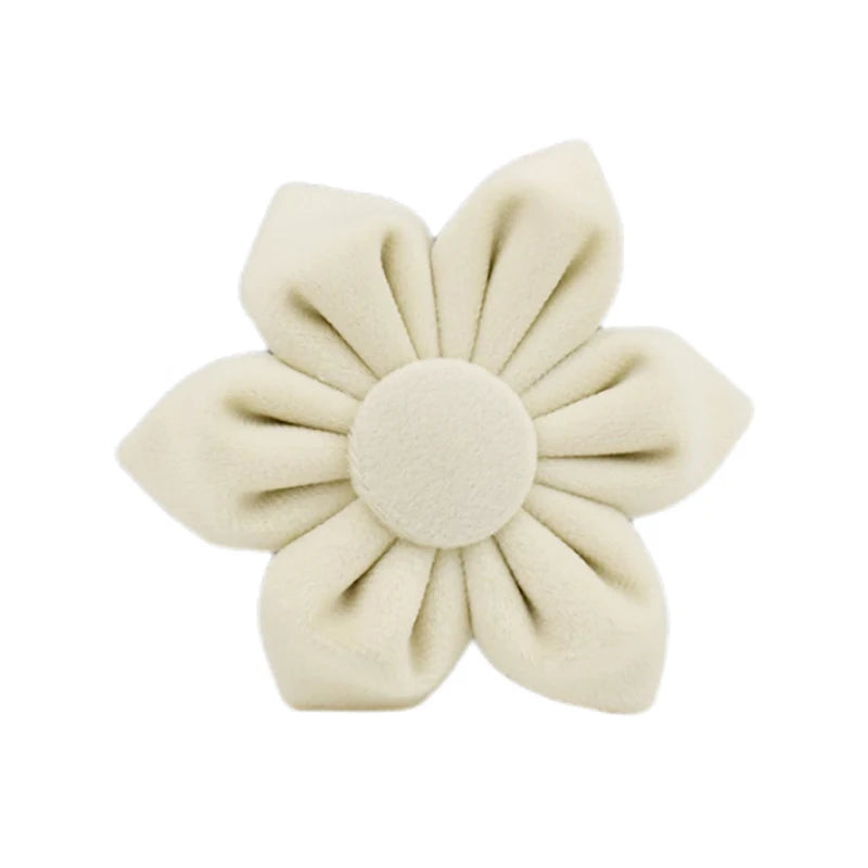 Milky White Velvet Collar & Leash