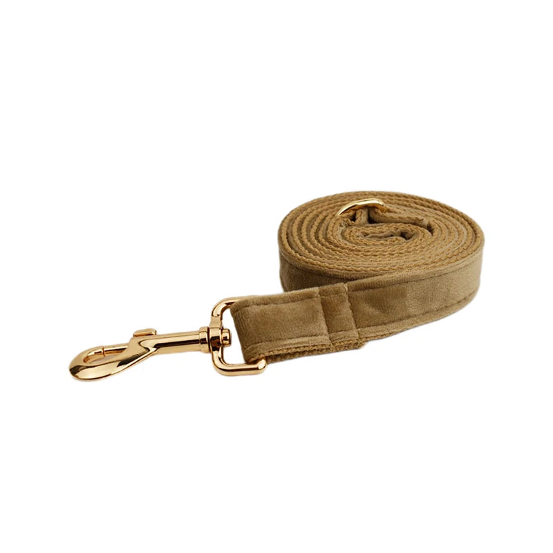 Shallow Khaki Velvet Collar & Leash