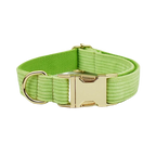 Apple Fruit Green Corduroy Collar & Leash