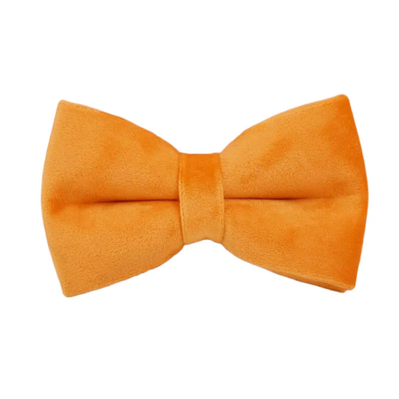 Orange Velvet Collar & Leash