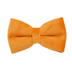 Orange Velvet Collar & Leash