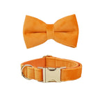 Orange Velvet Collar & Leash