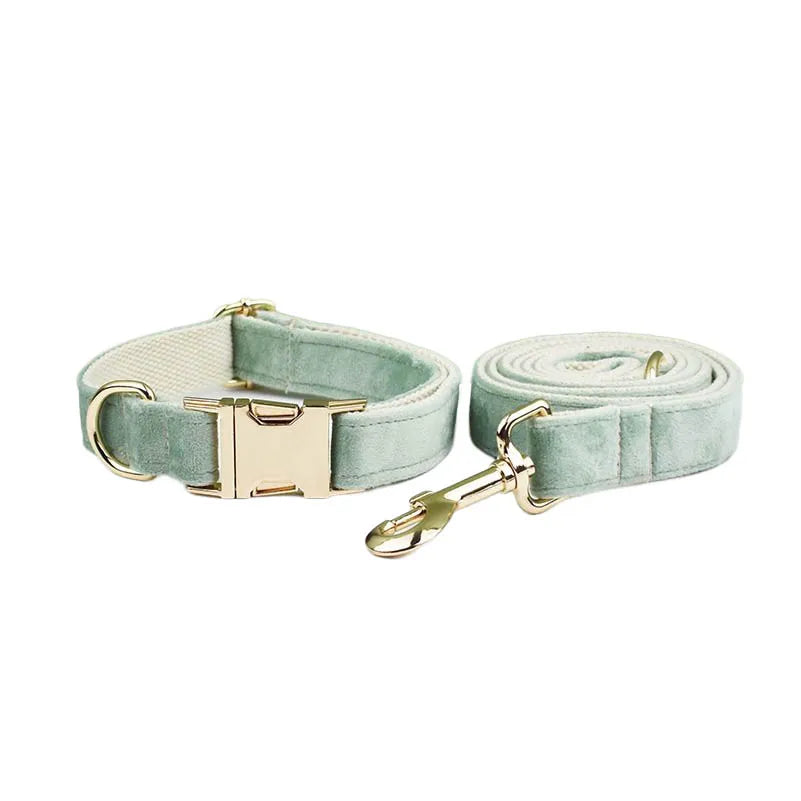 Mint Green Velvet Collar & Leash