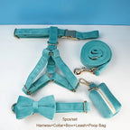 Turquoise Stone Velvet Walk Set