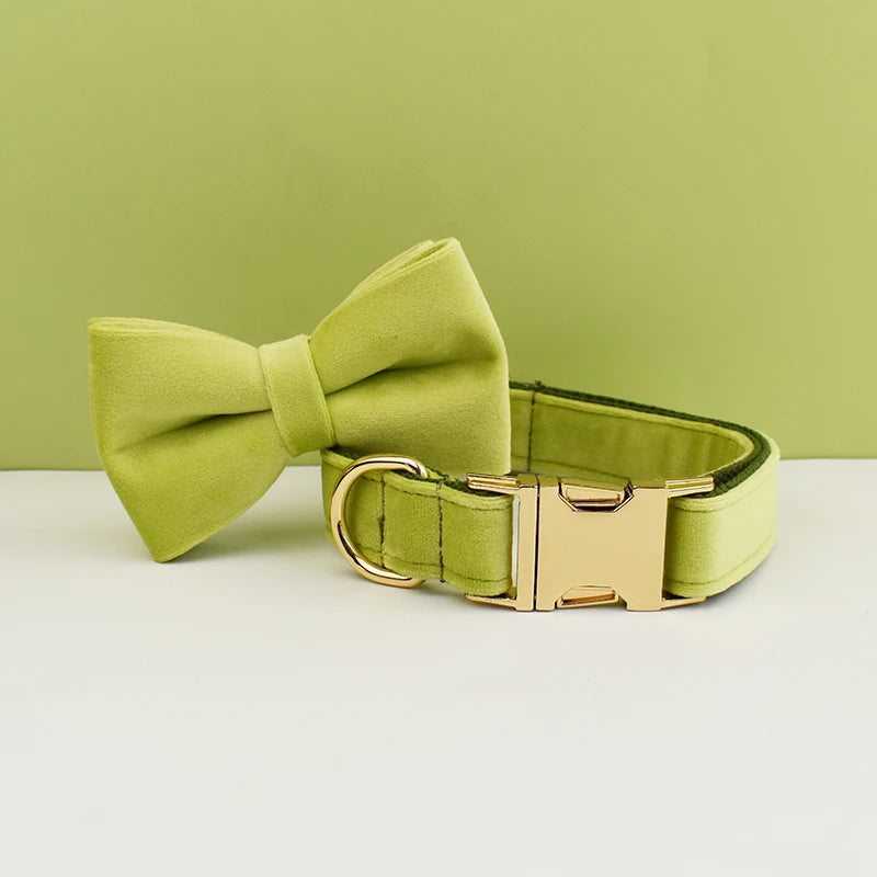 Avocado Velvet Collar & Leash