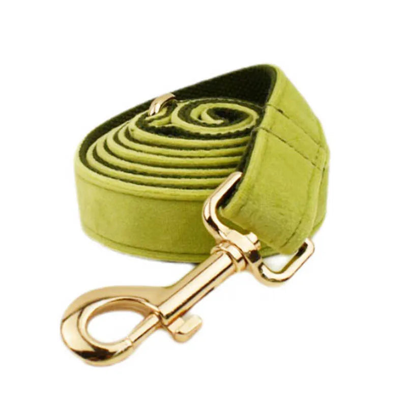 Avocado Velvet Collar & Leash