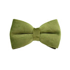 Army Green Velvet Collar & Leash