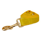 Mustard Velvet Collar & Leash