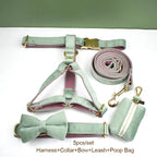 Mint Green With Red Base Velvet Walk Set