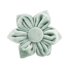 Mint Green with Red Base Velvet Collar & Leash