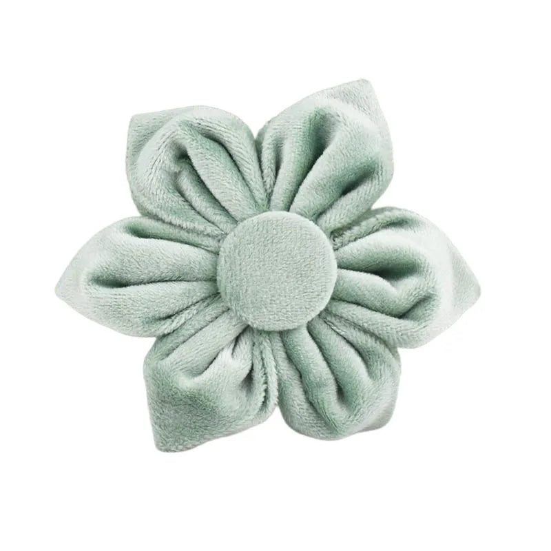 Mint Green with Red Base Velvet Collar & Leash