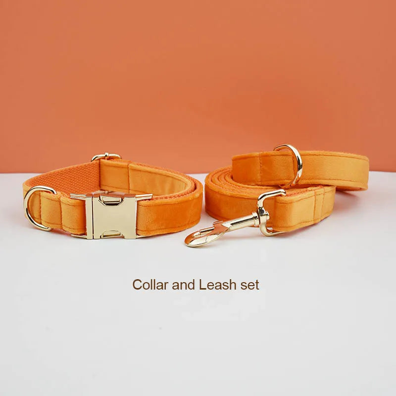Orange Velvet Collar & Leash