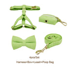 Apple Fruit Green Corduroy Walk Set