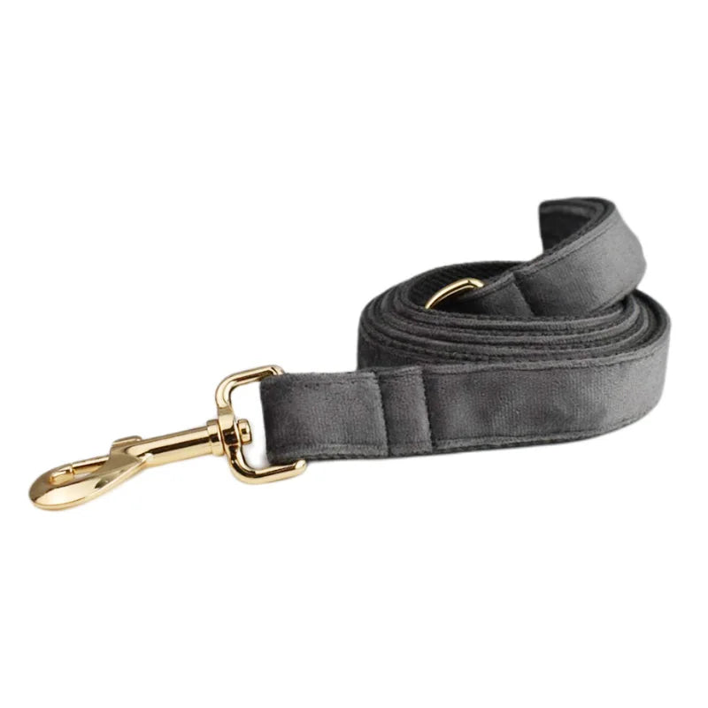 Dark Grey Velvet Collar & Leash