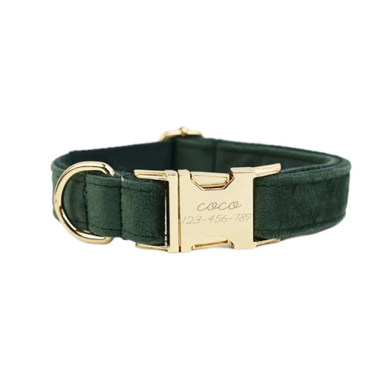 Hunter Green Velvet Collar & Leash