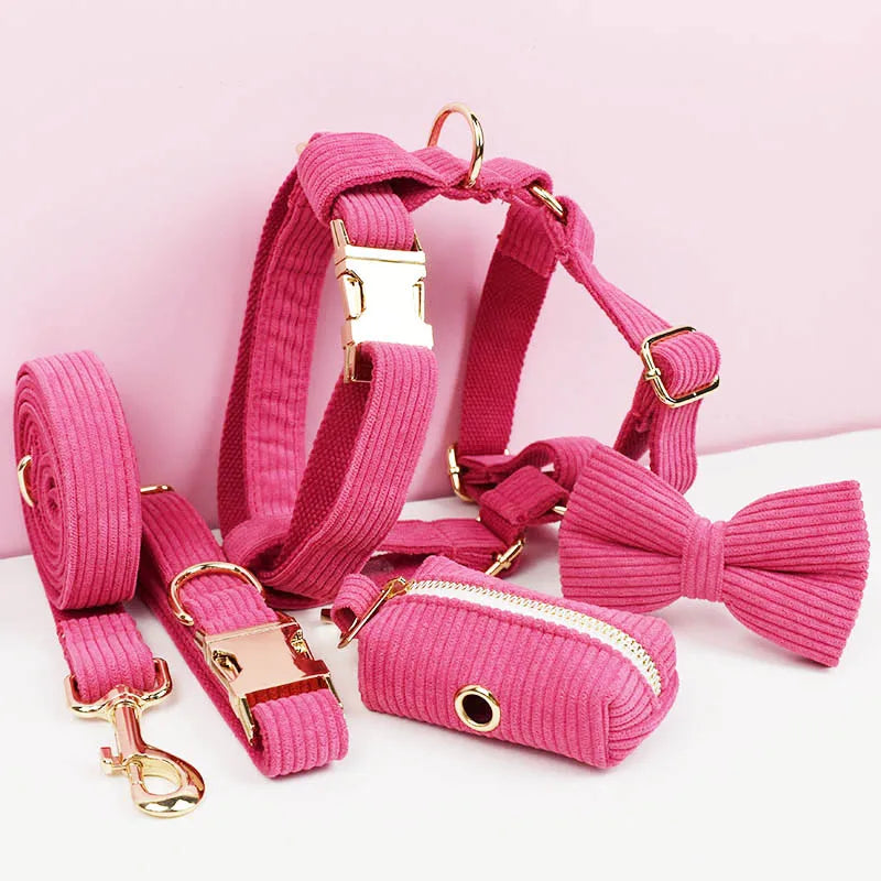 Hot Rose Corduroy Walk Set