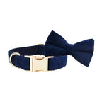 Oxford Blue Corduroy Collar & Leash