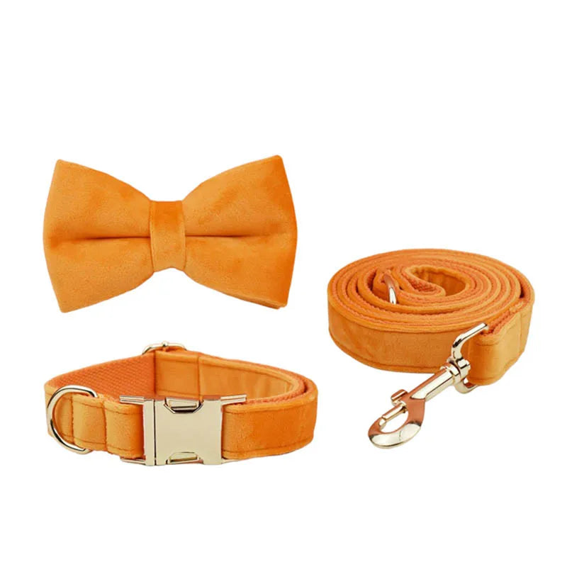 Orange Velvet Collar & Leash