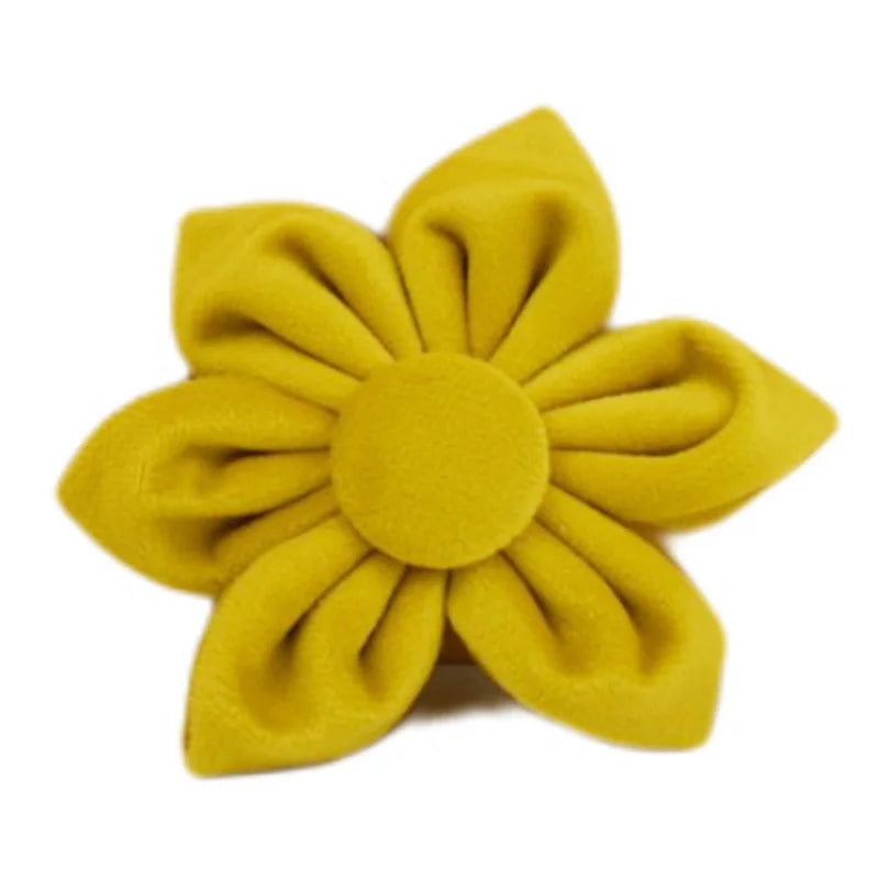 Mustard Velvet Collar & Leash