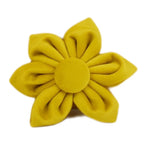 Mustard Velvet Collar & Leash