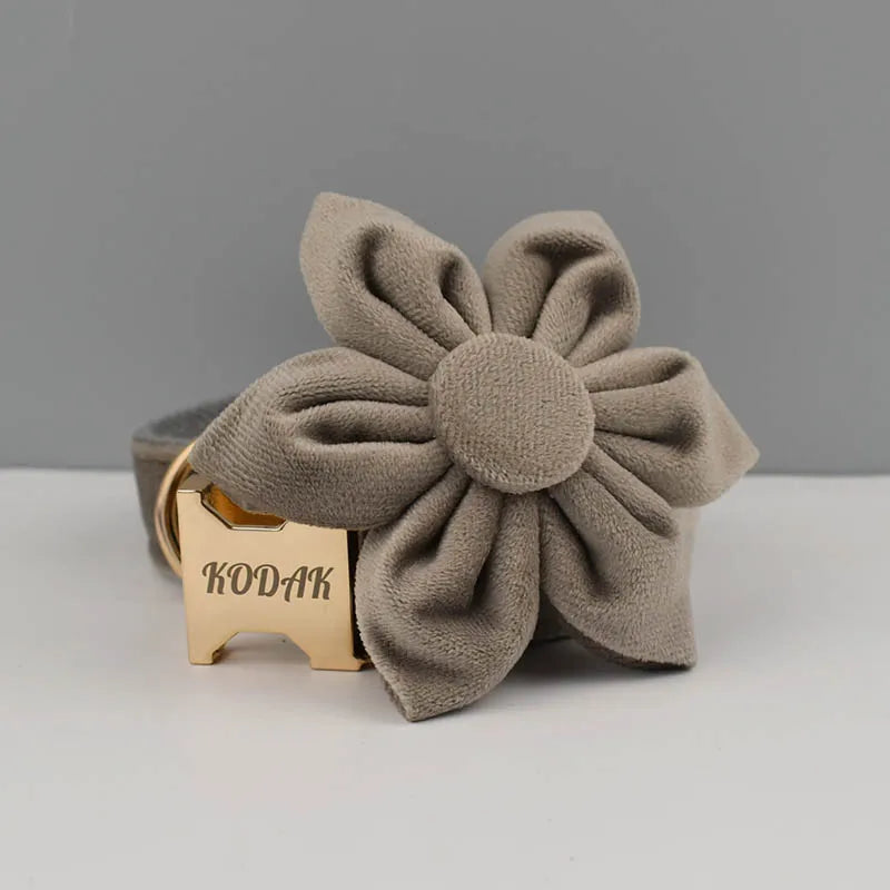 Grey Velvet Collar & Leash