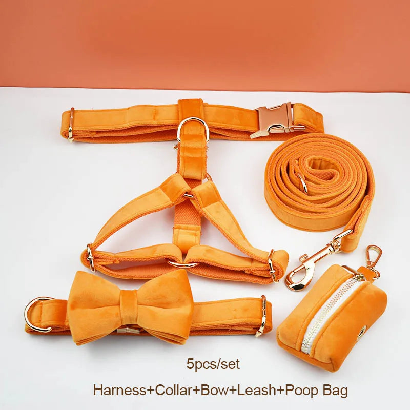 Orange Velvet Walk Set