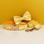 Banana Pop Collar & Leash