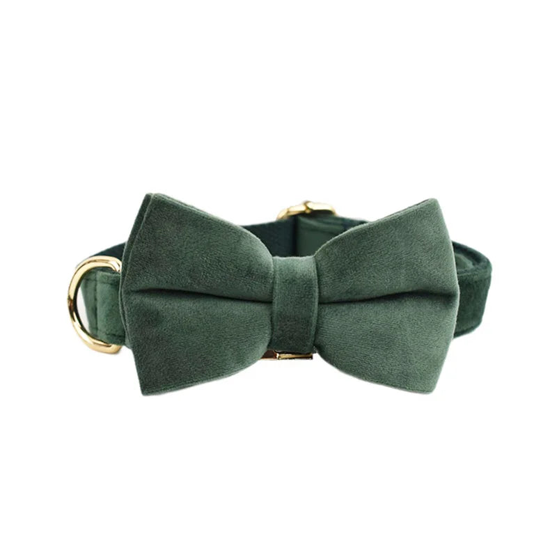 Hunter Green Velvet Collar & Leash