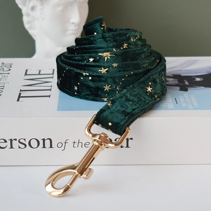 Emerald Gold Bow + Harness & Leash Set