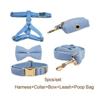 Blue Corduroy Walk Set